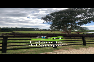 CABANHA À VENDA NO RS.00_00_12_18.Quadro057_4cfee63c200b5f7242c4de3d04d7406c48a8e420.jpg